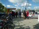 Balaton Phoenix_1