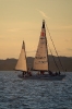 Balaton Phoenix_1
