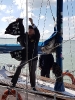 Balaton Phoenix_2