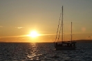 Balaton Phoenix_3