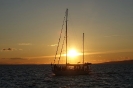 Balaton Phoenix_5