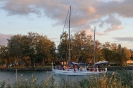 Balaton Phoenix_6