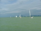 2005 vegyes_1