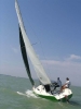 2005 vegyes_2